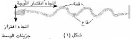 الشكل (1)